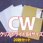 20-CW-364