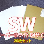 20-SW-364